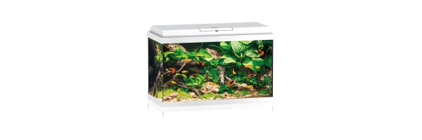 Aquarien