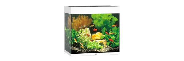 Aquarien