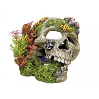 Nobby Dekor Totenkopf mit Pflanzen