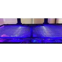Tank Net Screen 72"/180cm&nbsp; (incl. 1 Universal cut out)