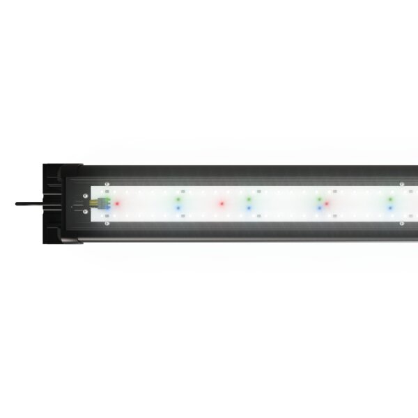 Juwel HeliaLux Spectrum 1000 48W Lichtbalken zu Rio 180, Trigon 350 vorne