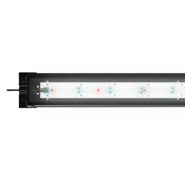 Juwel HeliaLux Spectrum 600 29W Lichtbalken zu Lido 120