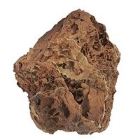 Versteinertes Laub (5 - 15cm)  pro St&uuml;ck