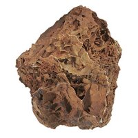 Versteinertes Laub (15 - 30 cm)  pro St&uuml;ck