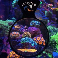 Flipper DeepSee Standard (10cm)