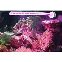 Tunze LED eco chic refugium (8831)