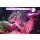 Tunze LED eco chic refugium (8831)