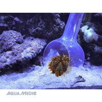 Aqua Medic Fangkelle (catch bowl)