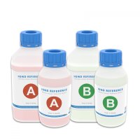 GHL ION Director Referenz B 1000ml