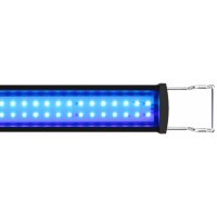 GHL Mitras Slimline 120 Actinic Blue (Becken 119 - 130 cm)