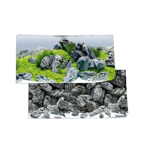 Juwel Fotor&uuml;ckwand 4 Gr.L 100x50cm