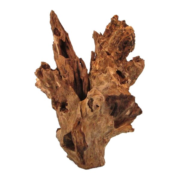 Orbit Barico Wurzel, small, 20-25cm