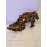 Amazonas Mangrovenwurzel Select 1 (40-50cm)
