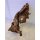 Amazonas Mangrovenwurzel Select 1 (40-50cm)