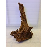 Amazonas Mangrovenwurzel Select 2 (40-50cm)