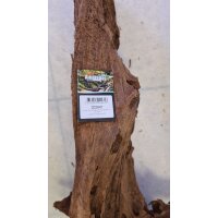 Amazonas Mangrovenwurzel Select 2 (40-50cm)