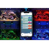 Kessil LED A500X