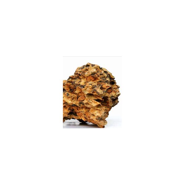 Drachengestein 5-10cm, 0.8-1.2kg