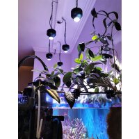 Kessil Reflector - 35
