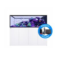 Red Sea REEFER Peninsula-S 950 G2+ weiss