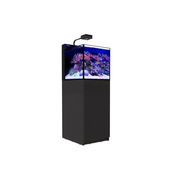 Red Sea MAX NANO Peninsula schwarz (inkl. 1x ReefLED 50)