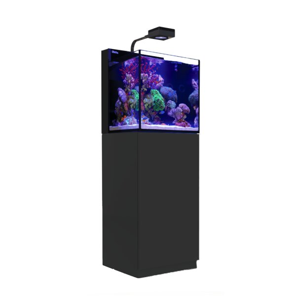 Red Sea MAX NANO Cube schwarz (inkl. 1x ReefLED 50)