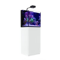 Red Sea MAX NANO Cube weiss (inkl. 1x ReefLED 50)