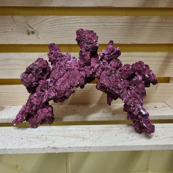 Real Reef Arches (pro Kg)