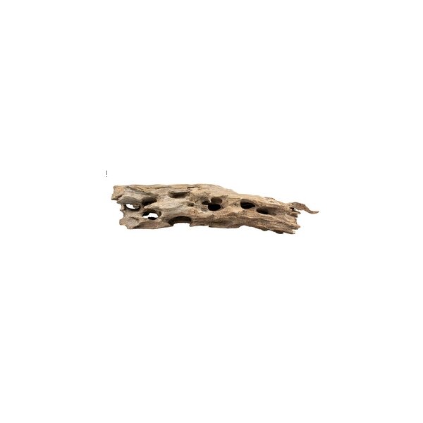 Wabenholz L, ca. 45-58 cm, braun