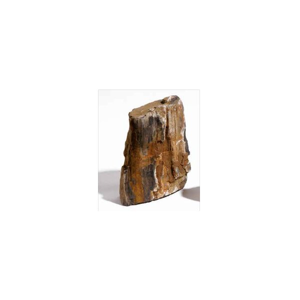 Versteinertes Holz small 0.8-1.2kg