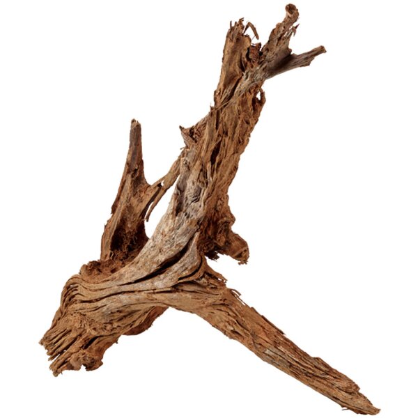Mangroven Holz 30-60cm Sandgestrahlt