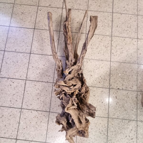 Tribu Holz Show Einzelst&uuml;ck!