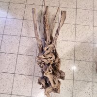 Tribu Holz Show Einzelst&uuml;ck!