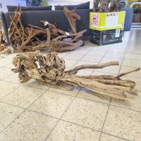 Tribu Holz Show Einzelst&uuml;ck!