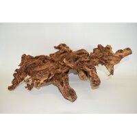 Korallenholz medium 20-30cm
