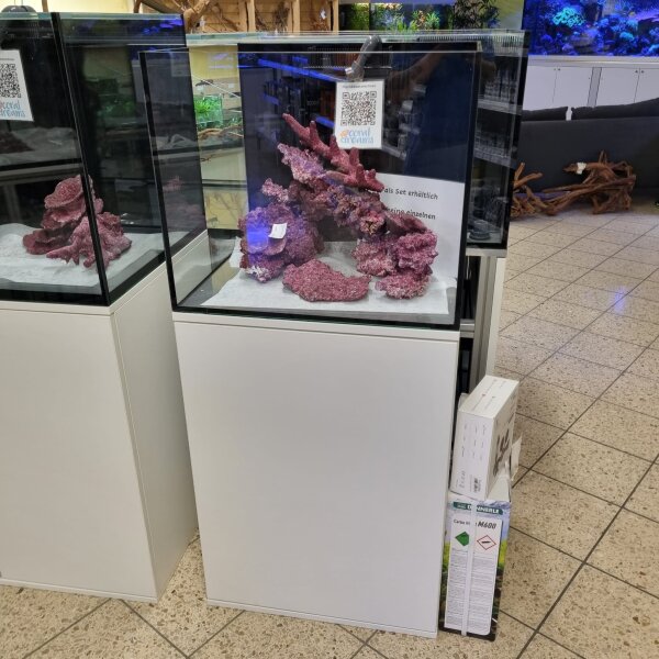 Aquarium Kombination 60x55x50 weiss