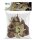 BIOTOPE SET AMAZONE