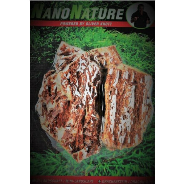Nano Nature. Samuraistein