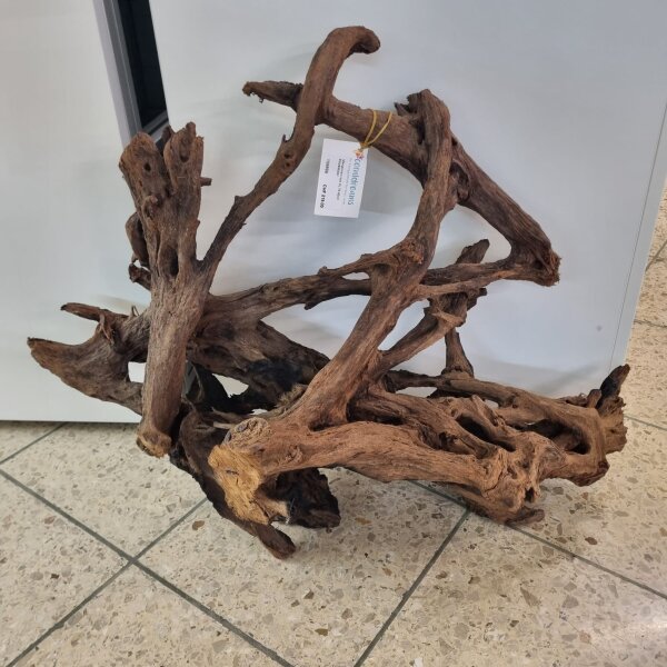 Mangroven Holz XL 70-90cm Einzelst&uuml;ck!