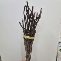 Kokos-Rispen ca 40cm