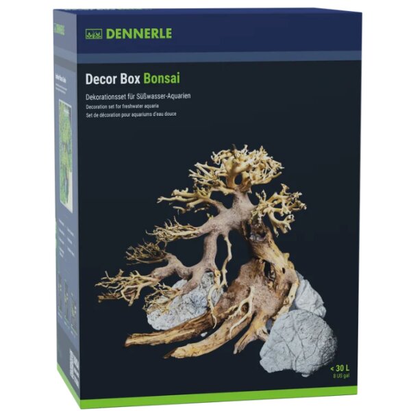 Decor Box Bonsai