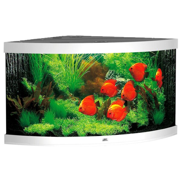 Juwel Aquarium Trigon 350 LED weiss