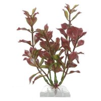 Plantastics Plus S3 Red Ludwigia 30cm