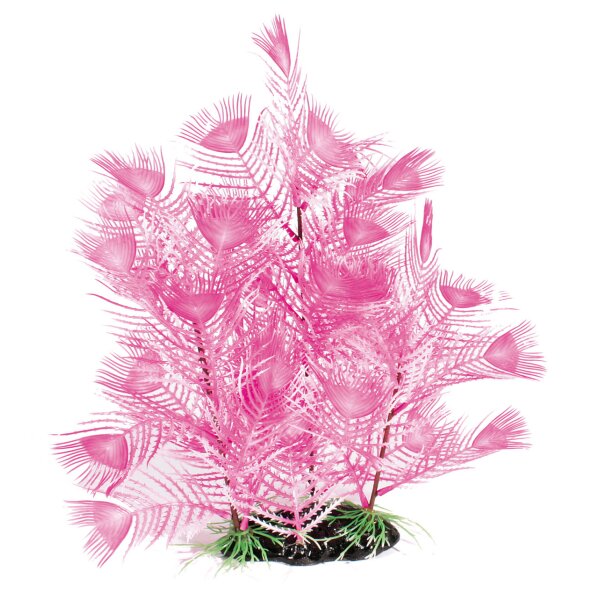 Amazonas Fantasy Plant AL 20cm pink