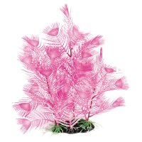 Amazonas Fantasy Plant AL 30cm pink