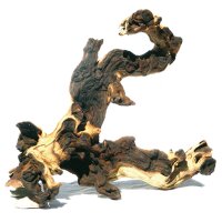 Mopani Holz (L) 35-50 cm sandgestrahlt