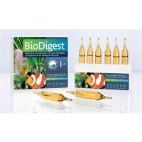Prodibio BioDigest 6 Ampulle