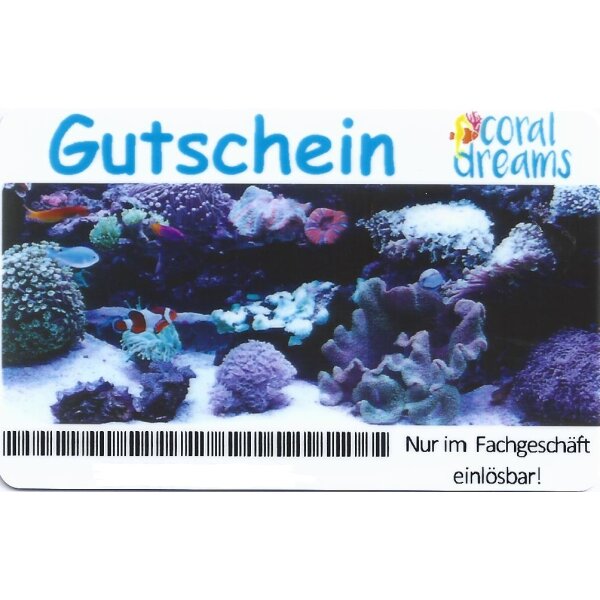 Gutschein (CHF 100.-)