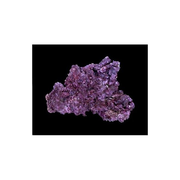 Real Reef Mini Shelf Rock (pro kg)