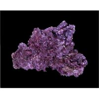 Real Reef Mini Shelf Rock (pro kg)
